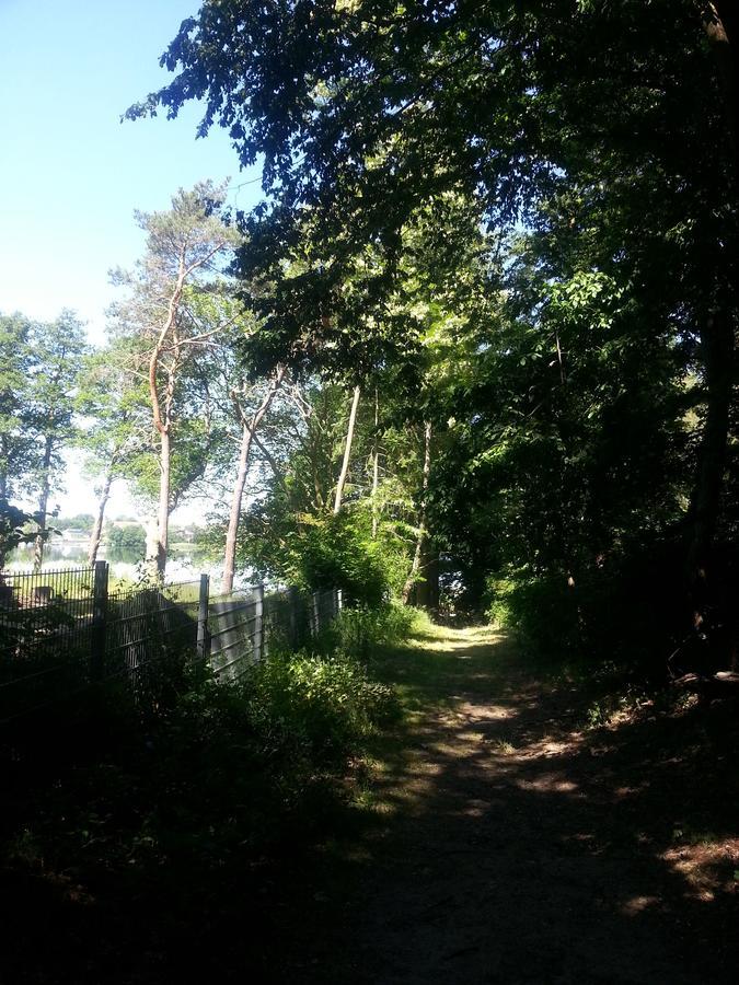 Holzhaus Waldwichtel Am Wald Und See Neuruppin Exteriér fotografie